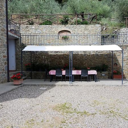 Agriturismo Il Torrino Villa Cortona Bagian luar foto